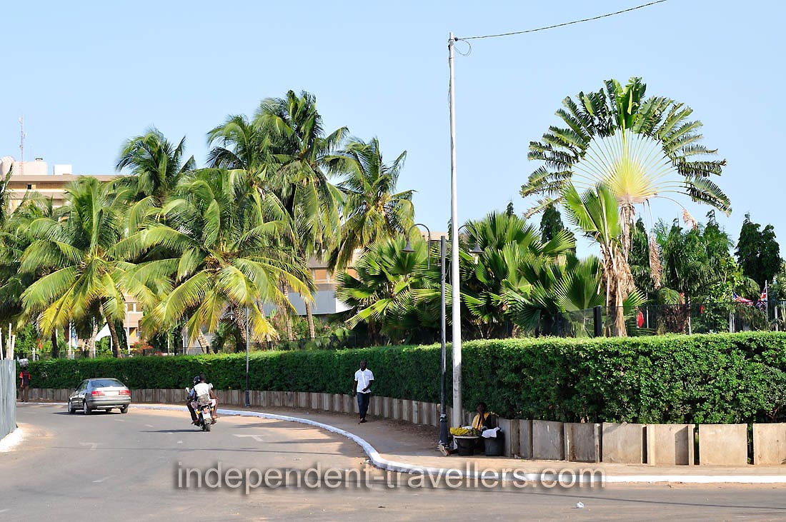 A traveller's palm grows near the roundabout of Independence monument
