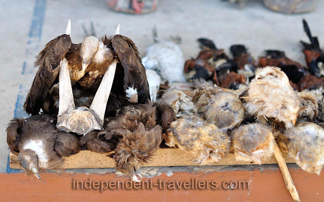 Dried eagles are for sale at the Akodessewa Fetish Market