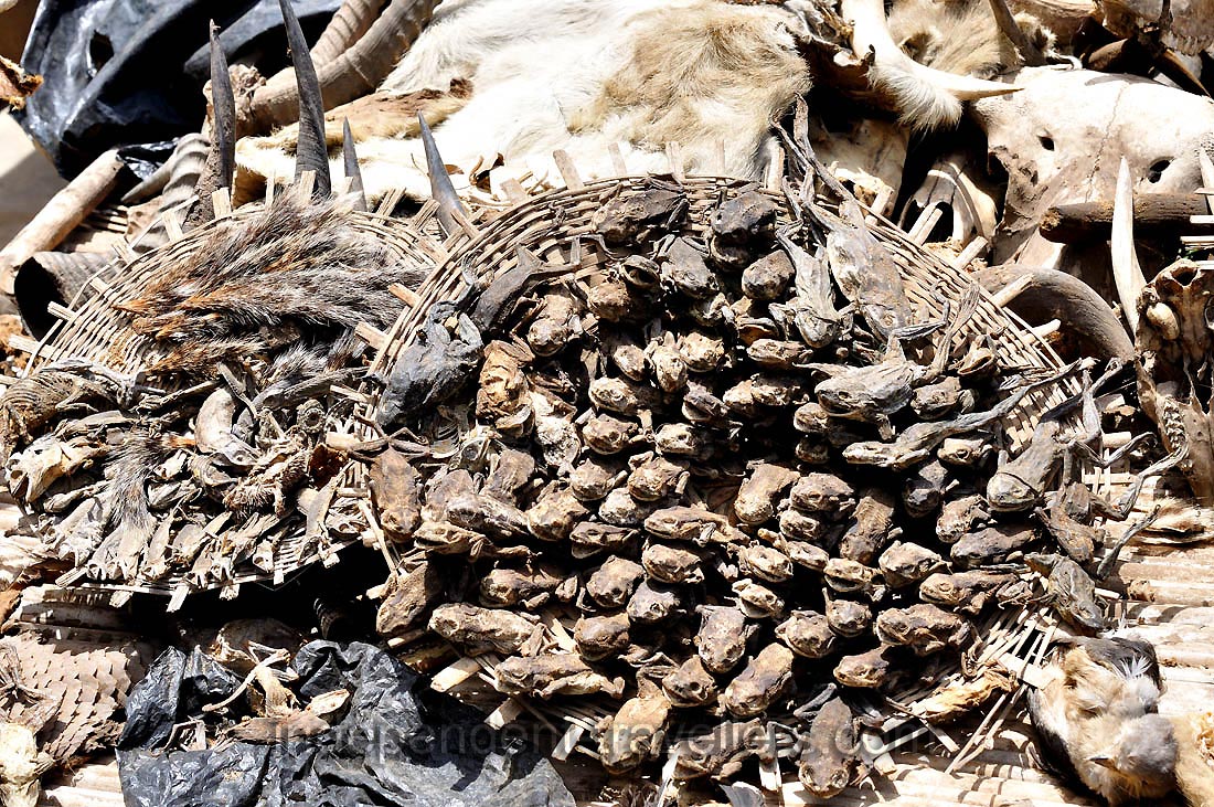 Dried frogs are for sale at the Akodessewa Fetish Market