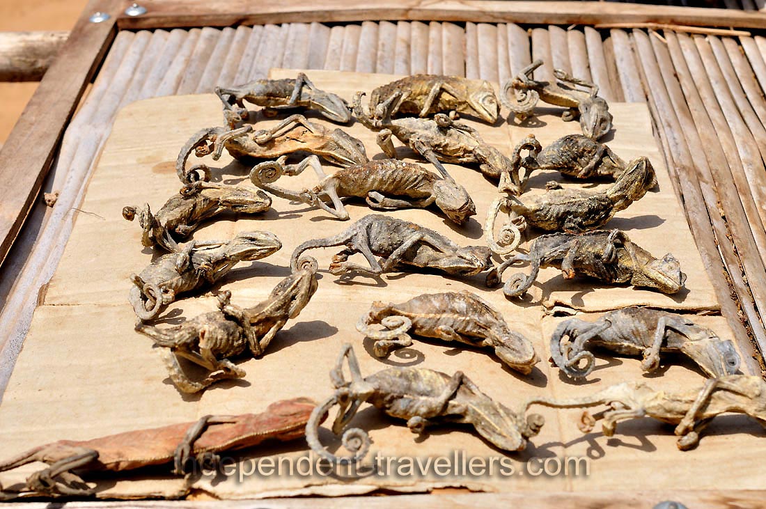 Dried chameleons are at the Akodessewa Voodoo Market