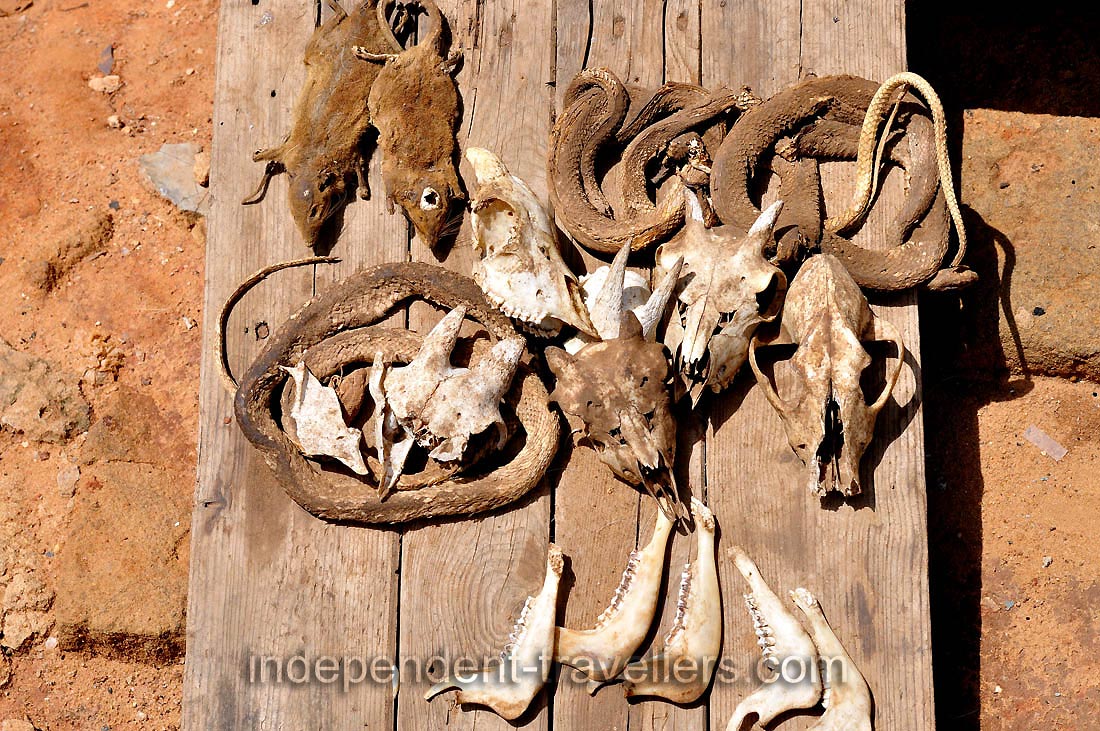 Dried rats and snakes are at the Akodessewa Voodoo Market