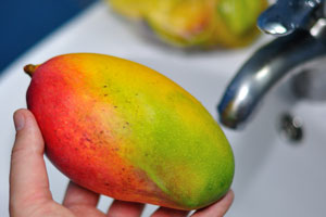 This colourful mango was bought on Grand Market