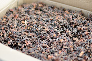 A spice of Star anise “Illicium verum” is for sale at Grand Market “Le Grand Marché”