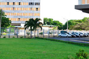 This green lawn belongs to the Administrative Center of Economic and Financial Services “CASEF”