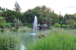 A fountain is amidst the pond