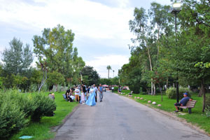 A wedding day is conducted in the park
