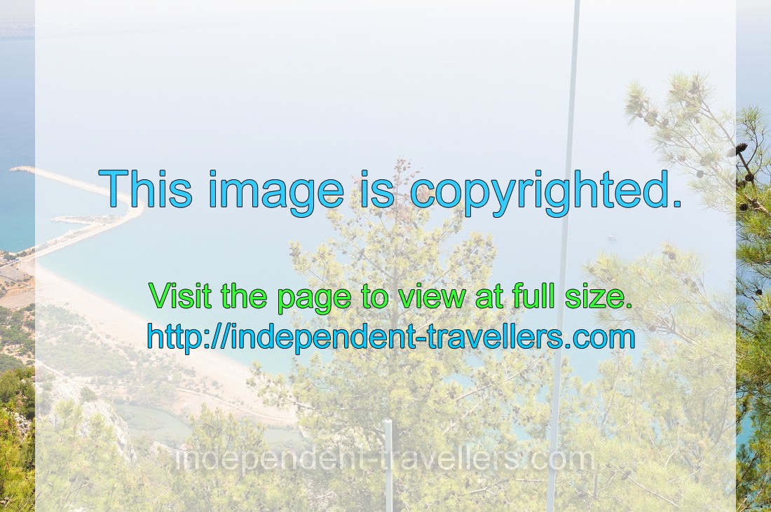 A coniferous tree is on the background of Setur Antalya marina