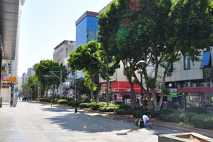 Ali Cetinkaya street is equipped with light rail tramway tracks
