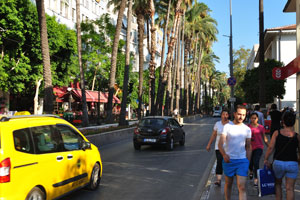 Tall palm trees are on Atatürk boulevard