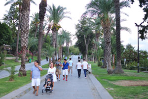 The esplanade is decorated with tall palm trees