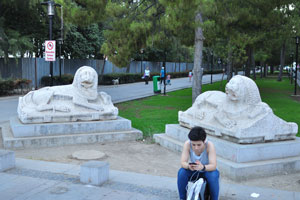 The stone statues of two lions are situated on 1308 street