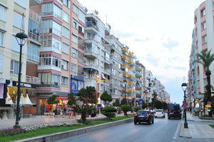 Isiklar street
