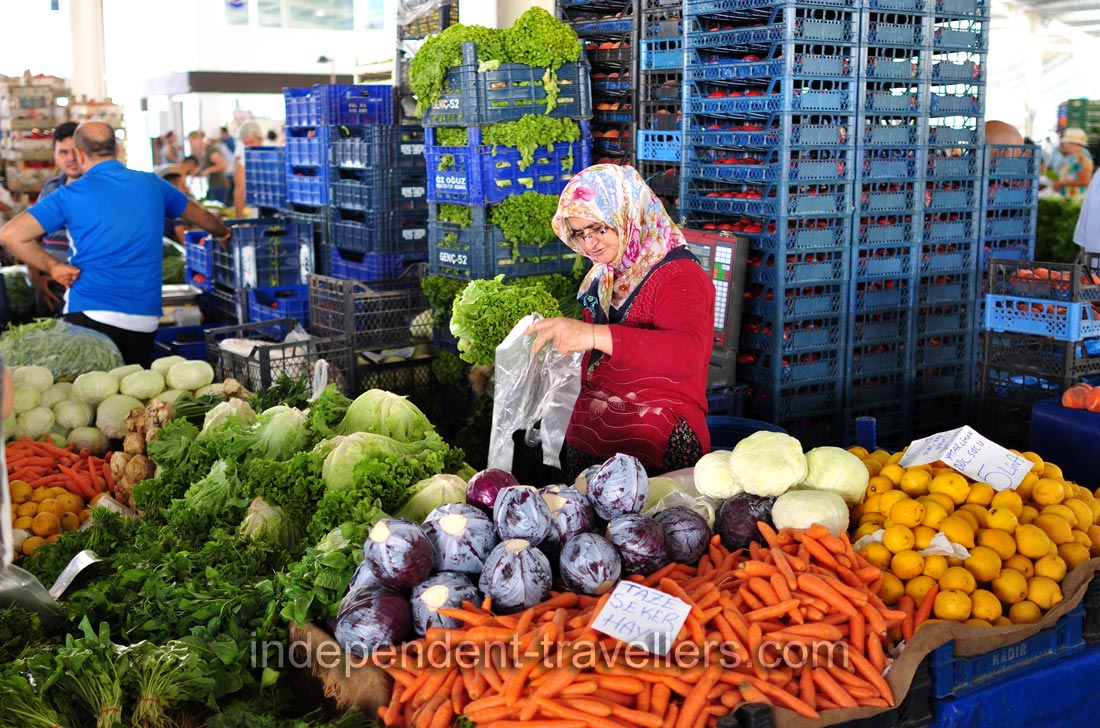 Different species of cabbage