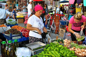 A female vendor sells green cultivar of aubergines