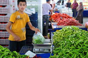 A young boy sells green pepper