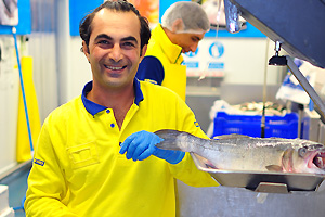 A lovely smiling fish vendor