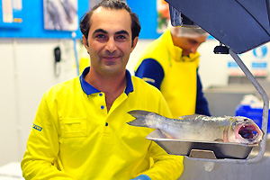 A fish vendor with a fish on a weigher