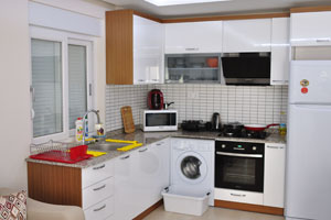 The kitchen is equipped with the electric stove and the sink, the washing machine and the refrigerator