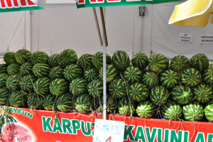 Watermelons for sale are on Boğaçay street at the following geo coordinates: 36.854605, 30.612579