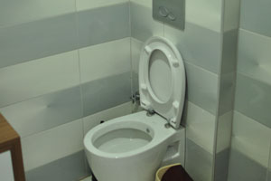 This is the toilet in the bathroom in the apartment where we stayed in Antalya