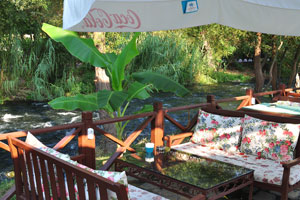 A banana plant grows in a cafe with Turkish style cushioned benches on the bank of the Düden River