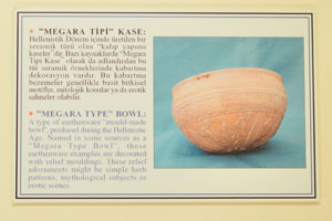 “Megara Type Bowl” is a type of earthenware “mould-made bowl”, produced during the Hellenistic Age