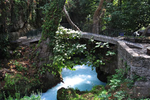 The pedestrian bridge