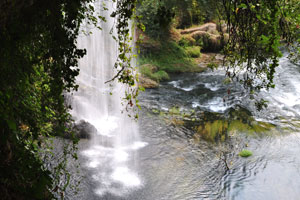 This is a lovely place! And it's quiet and cool after all the heat in the city