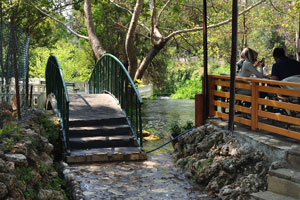 A garden bridge is near the entrance to Upper Düden Falls
