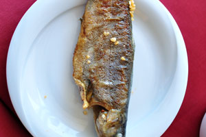Fried fish is one of the amazing dishes of the Sultan restaurant