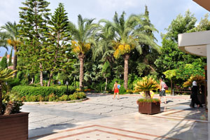 A small square with exotic trees is in front of the hotel