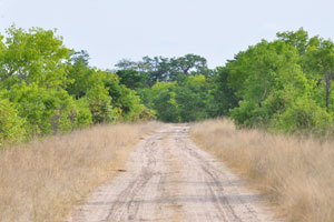 A country road is smooth and easy for any four-wheel drive vehicle