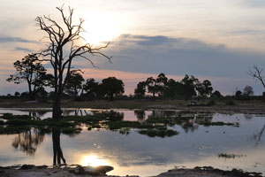 A Zimbabwean landscape