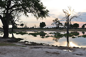This Zimbabwean lake is full of crocodiles