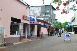 Elegant Elephant and EcoCash are located on Parkway Drive