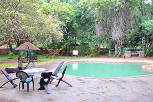 The Shoestrings Backpackers Lodge features an outdoor pool
