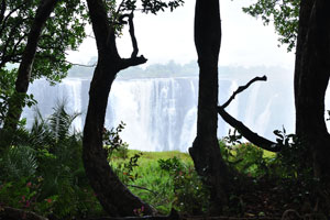 Victoria Falls is the largest curtain of falling water on the planet